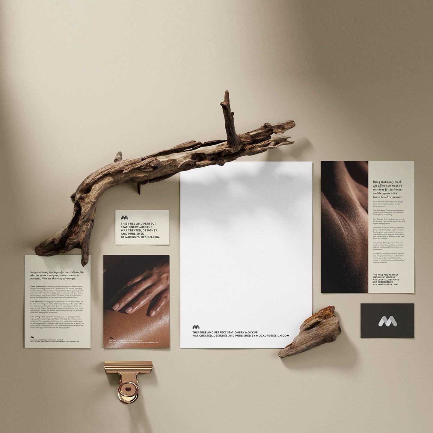 Professional website design Monterey services